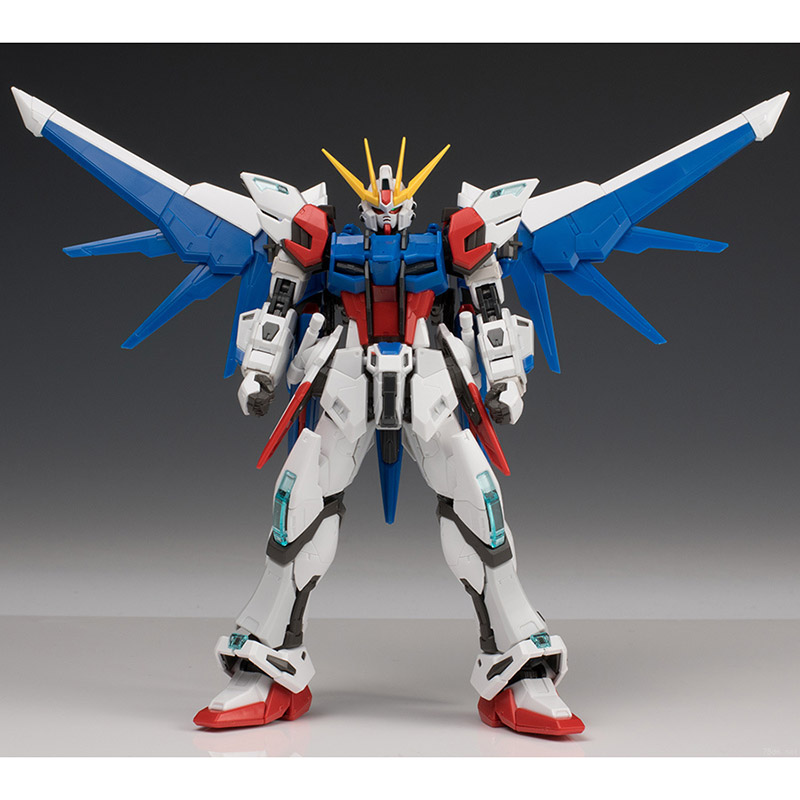 RG1/144 Build Strike Gundam Vo - Bandai Model Gundam Rg recensie en prijs